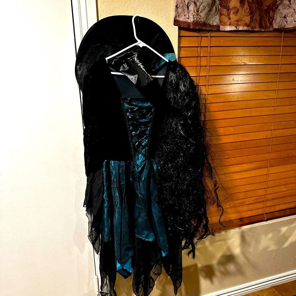 Witch dress, hat, wig costume green/blue and black